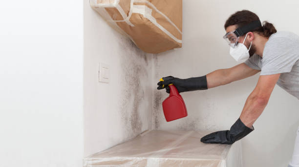 Professional Mold Testing technician working in Holtsville, NY